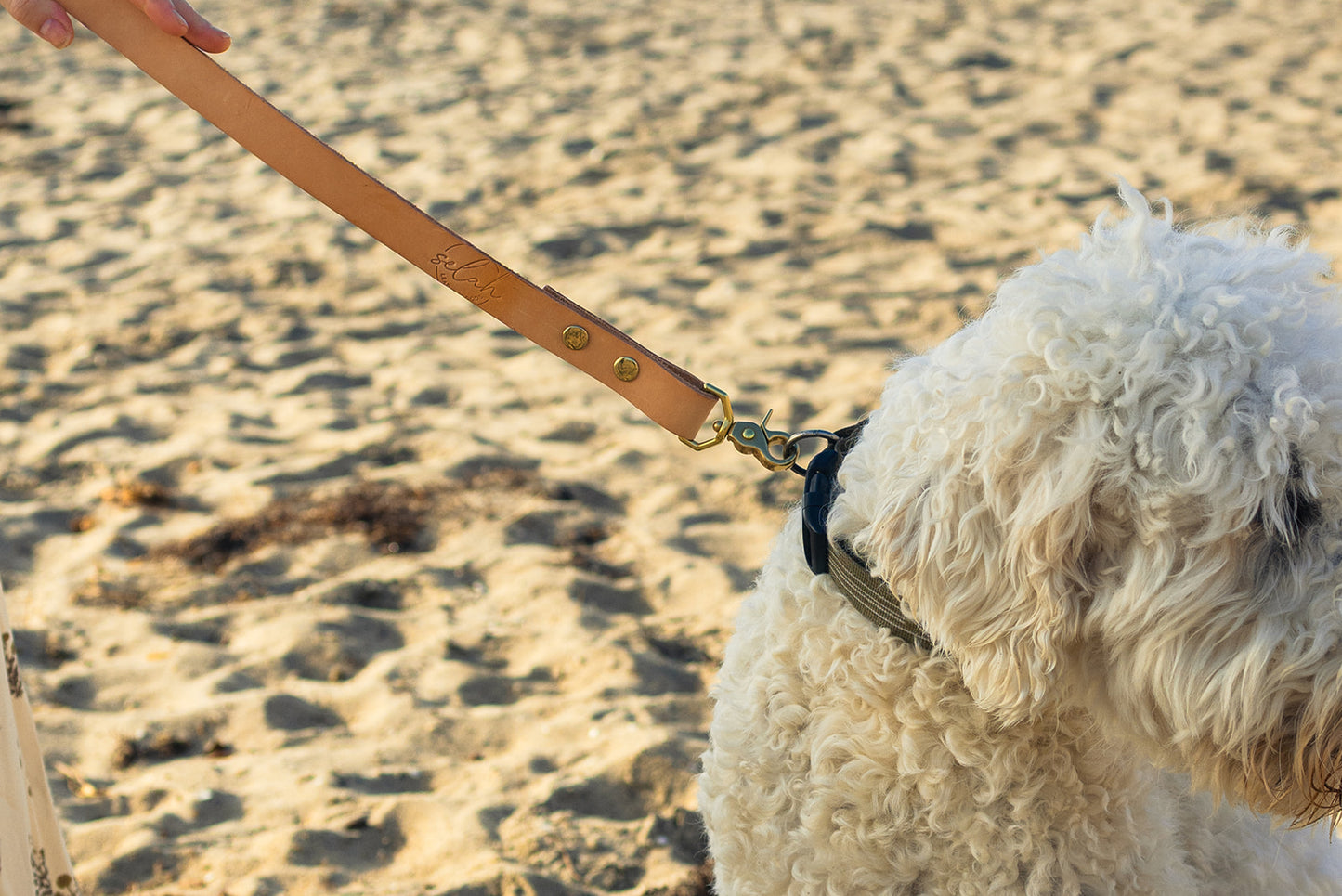 Maya Dog Leash