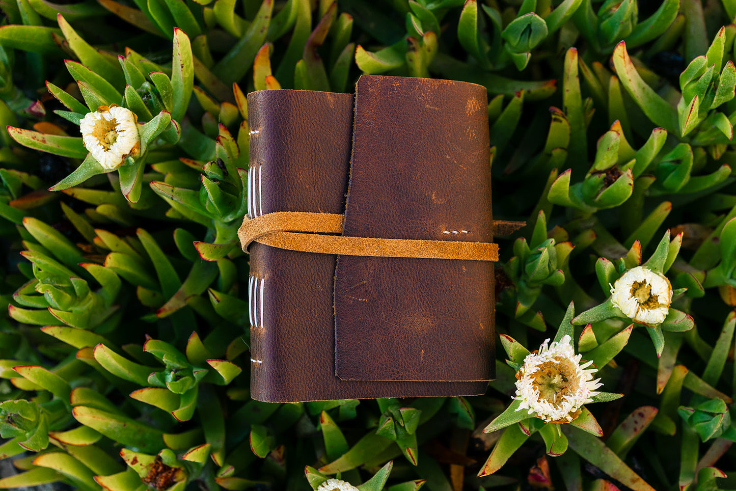 Travel Journal