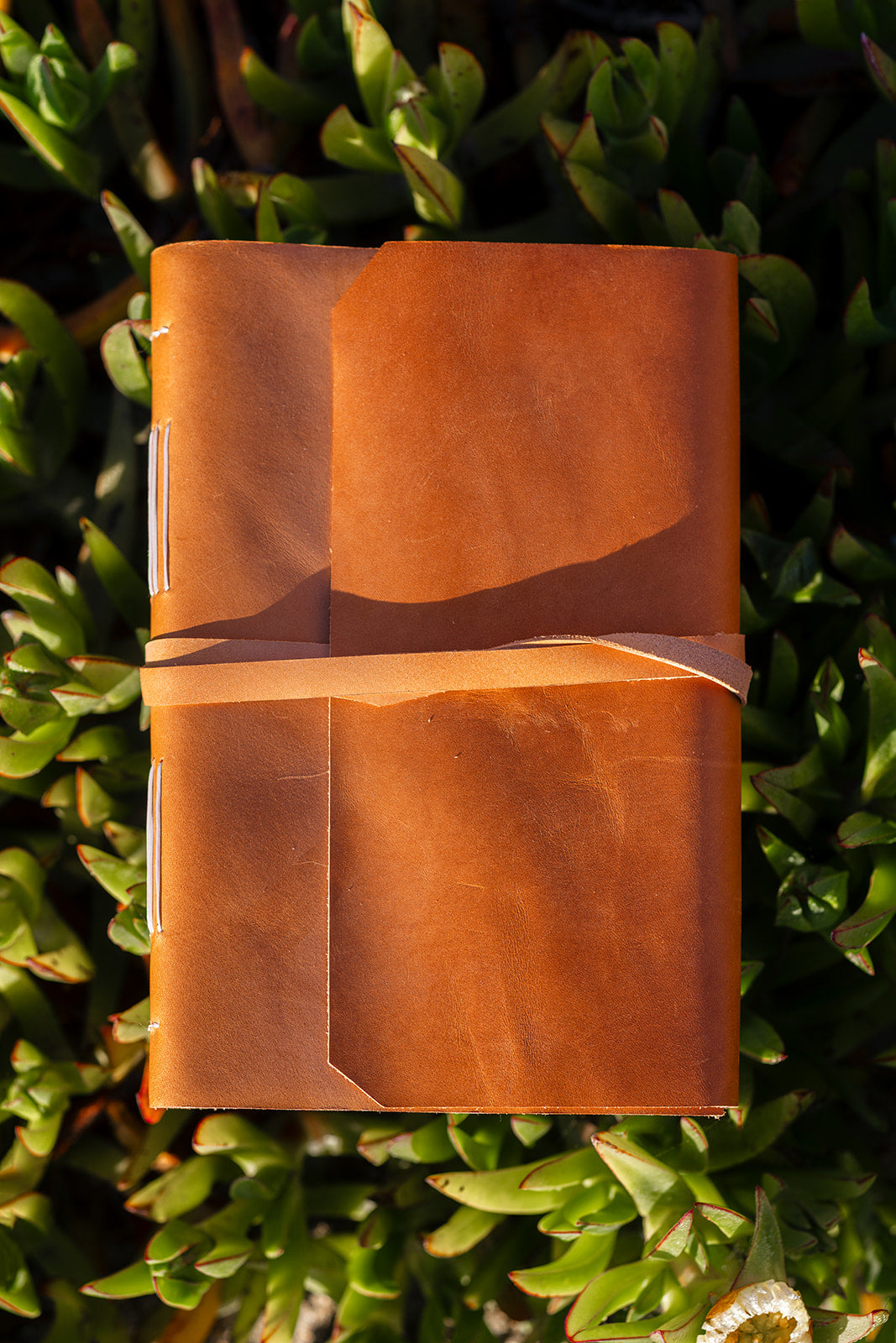 Everyday Journal
