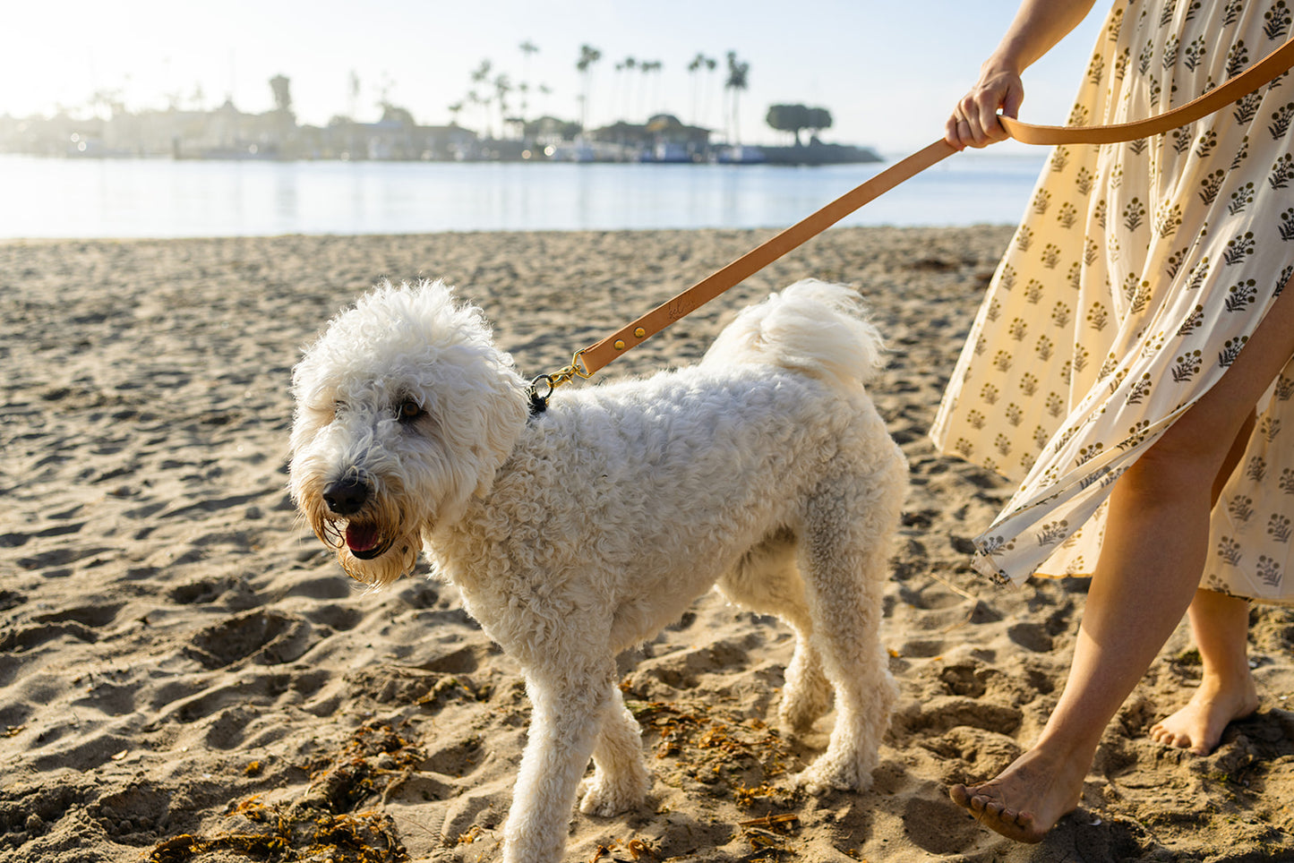 Maya Dog Leash